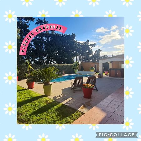 VILLA FLAMENCA - piscine chauffée Châteaurenard Esterno foto